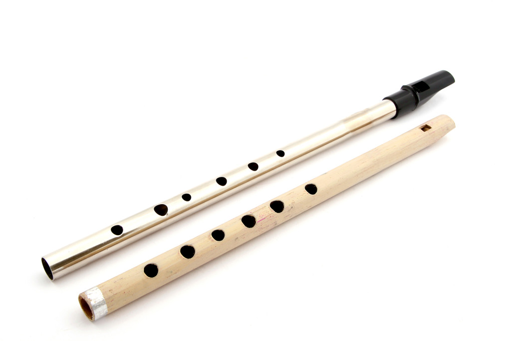 learn to play penny whistle